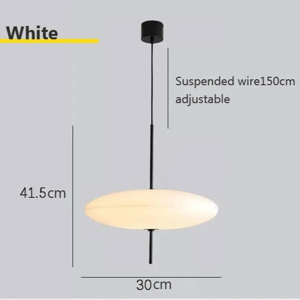 Moderne ovale hanglamp| Recte